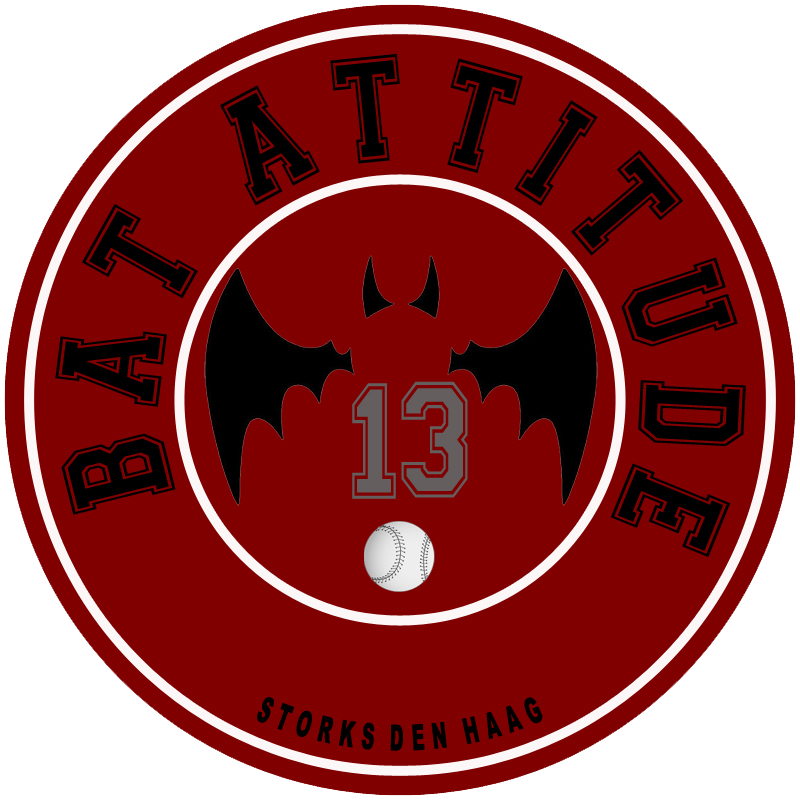 logo 13